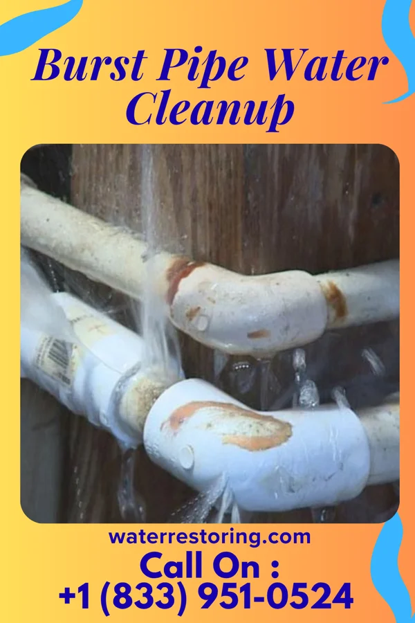 Burst Pipe Water Cleanup in Bayfield, CO