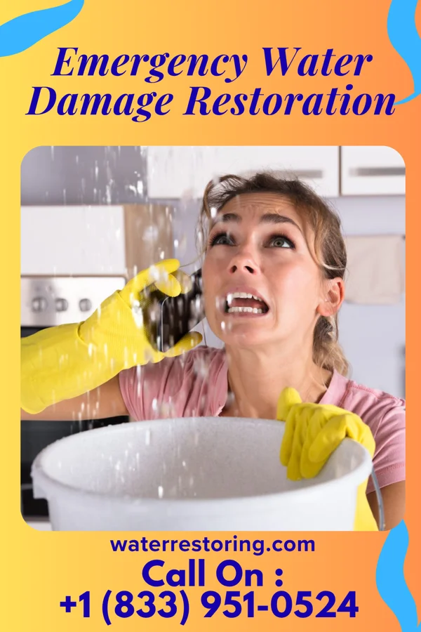 Emergency Water Damage Restoration in Bayfield, CO